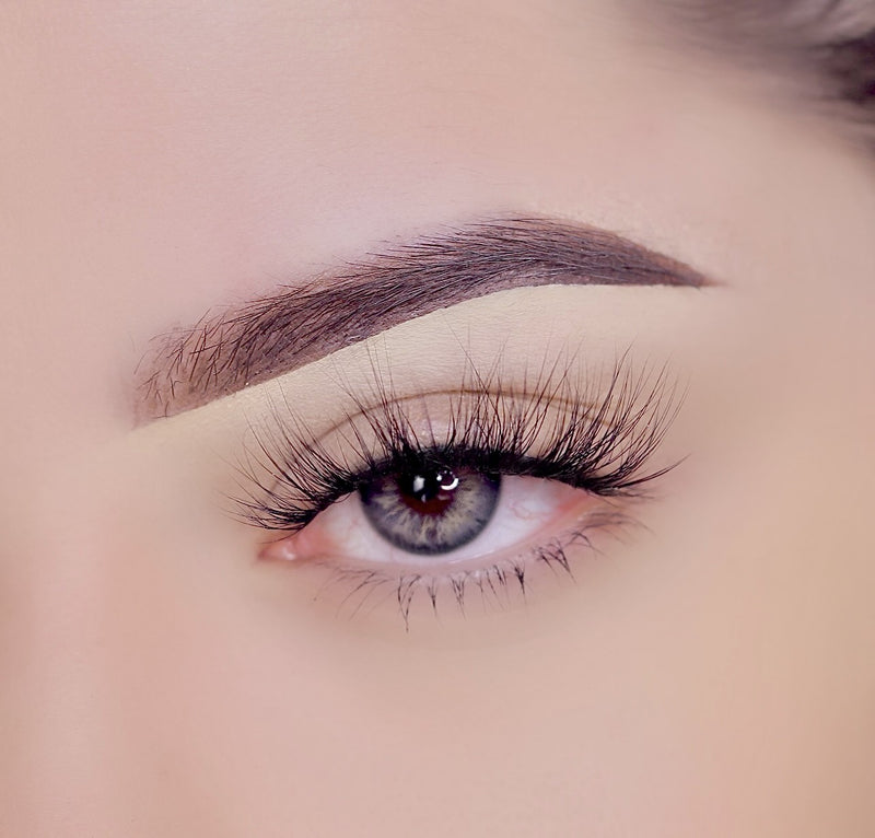 Esther - JLash x Luis Torres Vol.3 | JLash