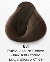 Rubio Oscuro Cenizo #6.1 KÜÜL COLORSYSTEM TINTE PARA CABELLO 90 ML - Compra Maquillaje y Artículos de Belleza | Belle Queen Cosmetics