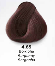 Borgoña #4.65 KÜÜL COLORSYSTEM TINTE PARA CABELLO 90 ML - Compra Maquillaje y Artículos de Belleza | Belle Queen Cosmetics